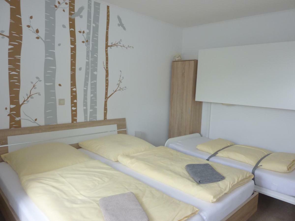 Ferienwohnung Edelmann Markersbach المظهر الخارجي الصورة