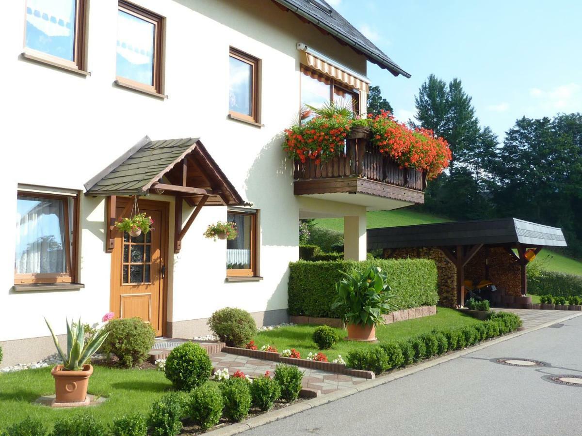 Ferienwohnung Edelmann Markersbach المظهر الخارجي الصورة